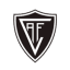 Academico de Viseu